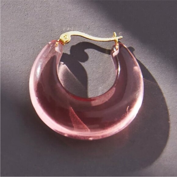 New! Anthropologie Plum Resin Hoop Earrings (2006) NWOT - Picture 2 of 2